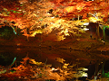 DSCF0127_thumb.png