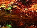 DSCF0129_thumb.png