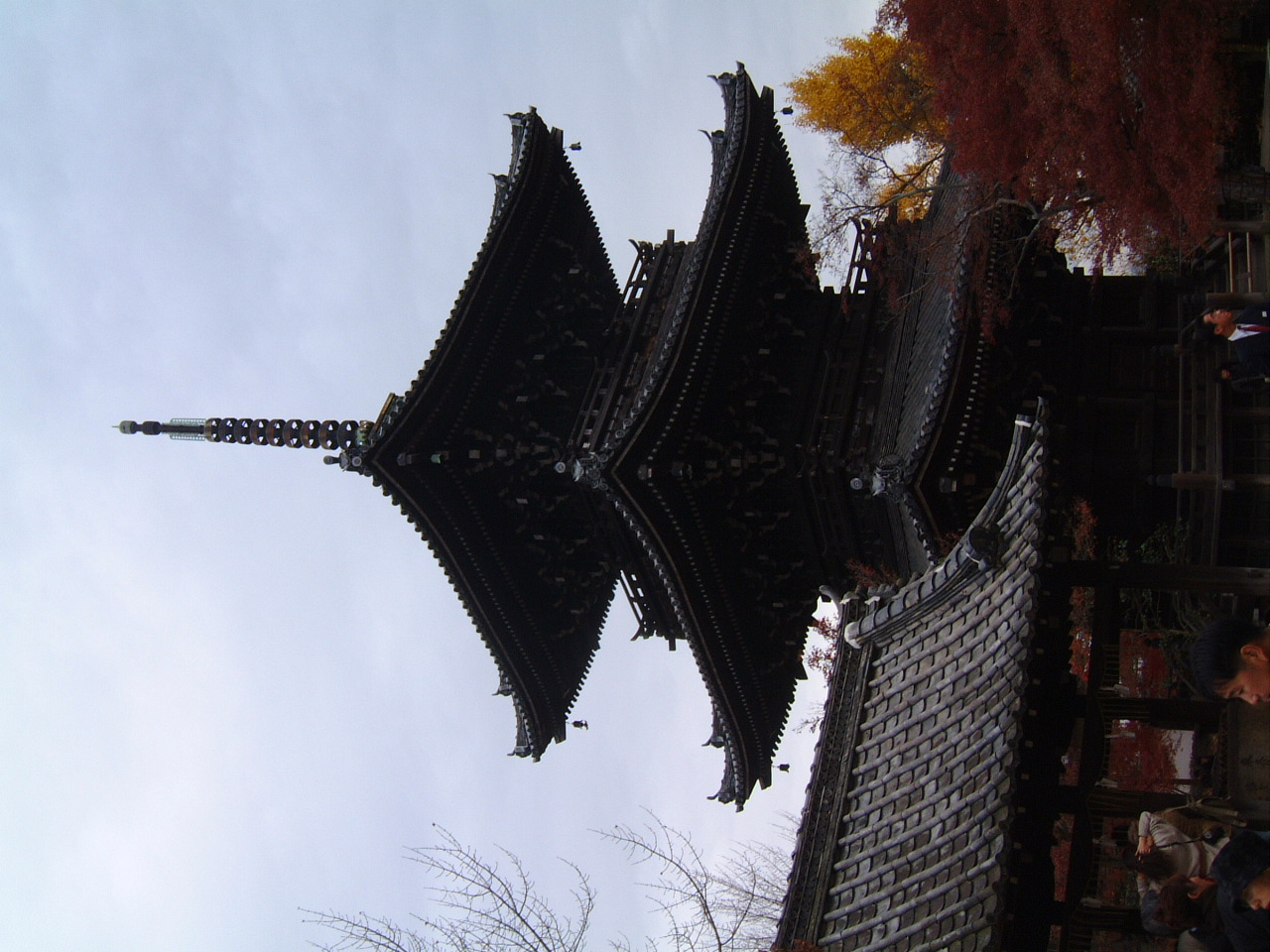 DSCF0141.JPG