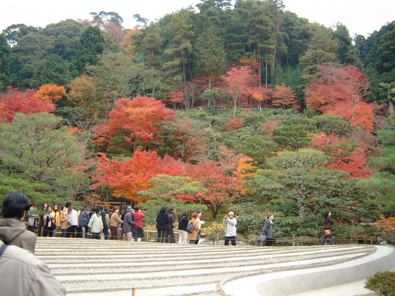 DSCF0159.JPG
