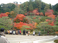 DSCF0159_thumb.png