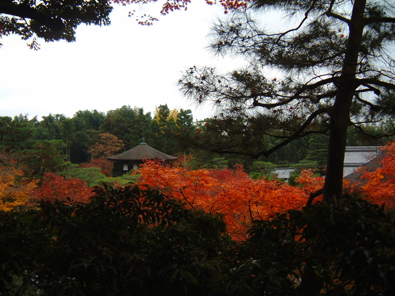 DSCF0161.JPG