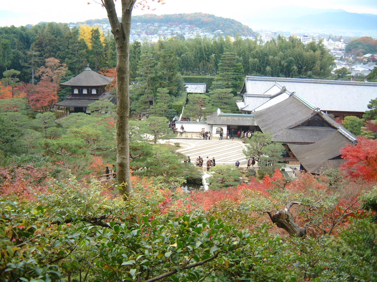 DSCF0162.JPG