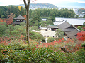 DSCF0162_thumb.png