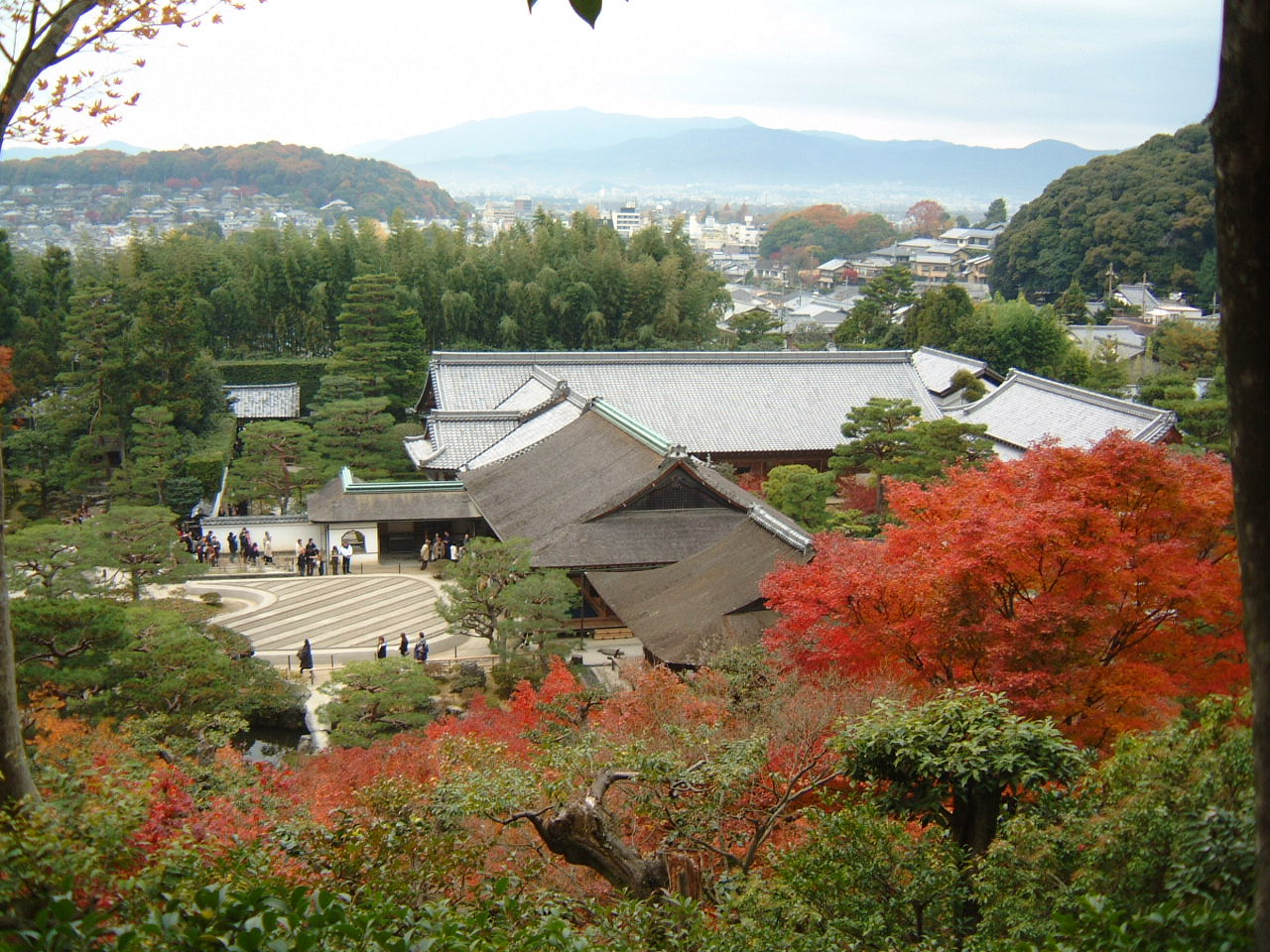 DSCF0163.JPG