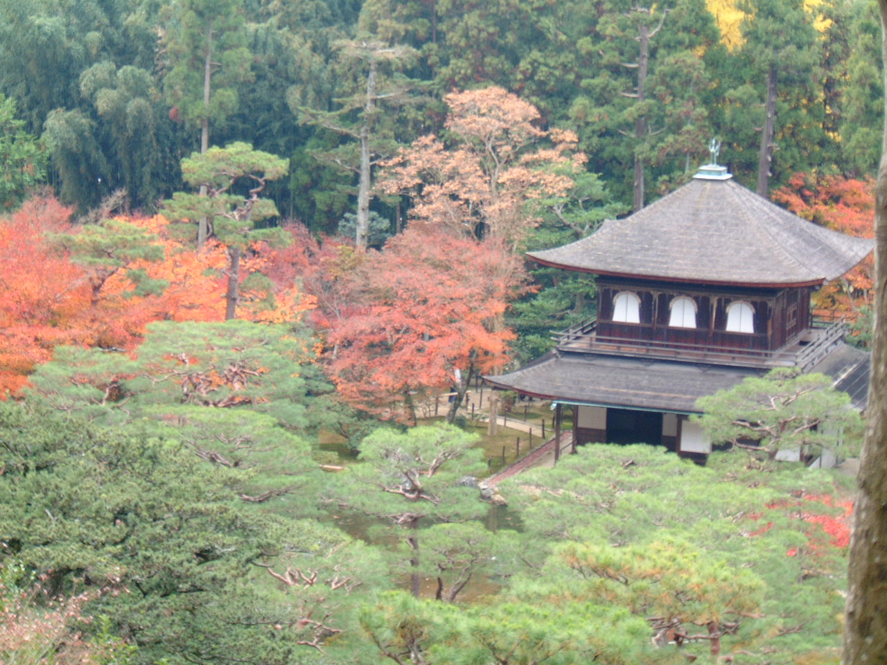 DSCF0164.JPG