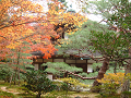 DSCF0168_thumb.png