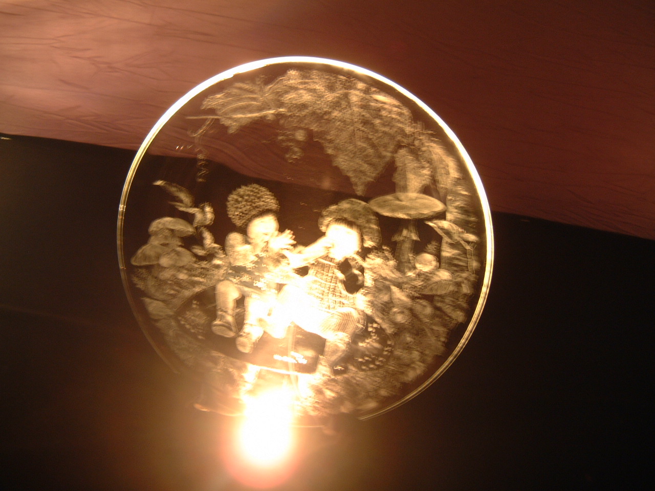 DSCF0173.JPG