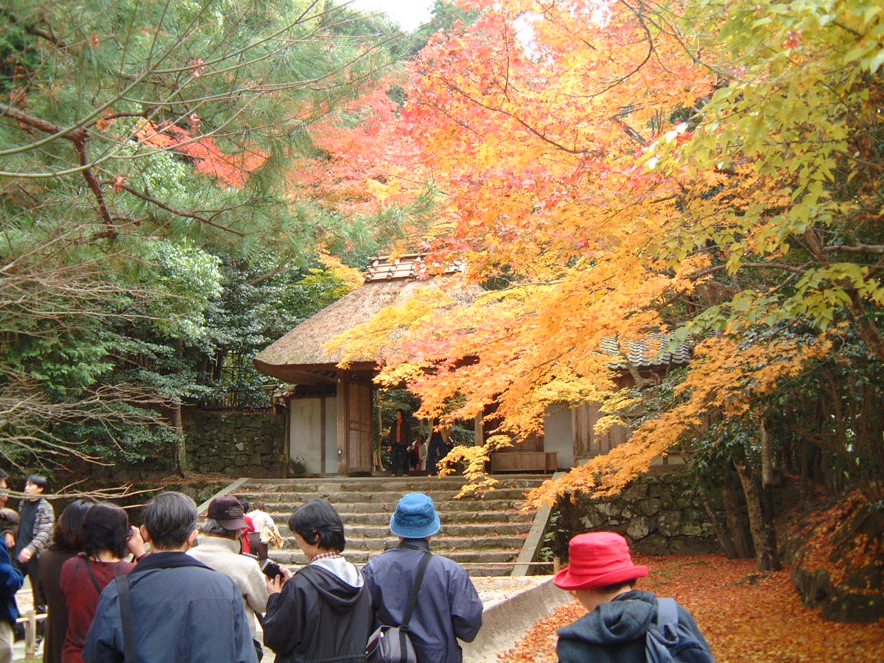 DSCF0177.JPG