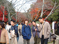 DSCF0181_thumb.png