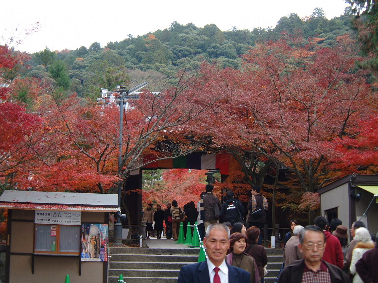 DSCF0184.JPG