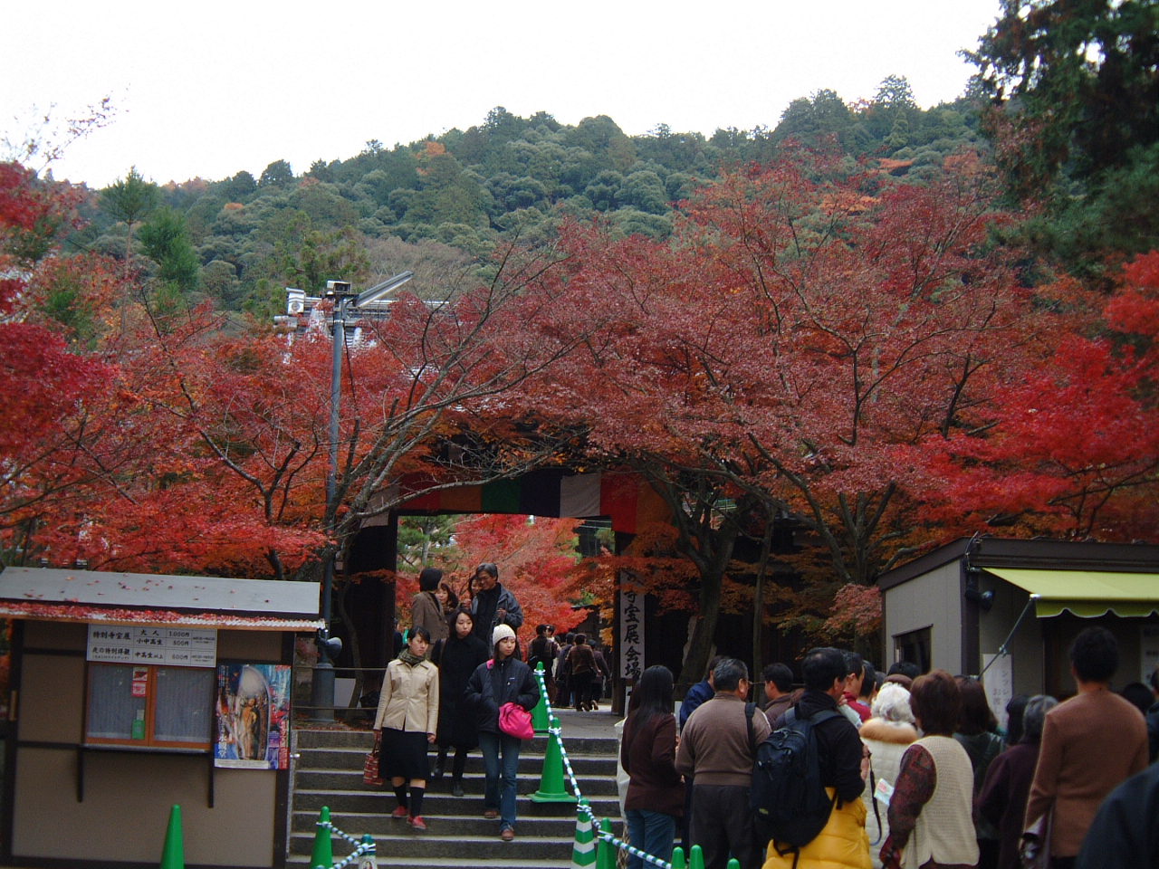 DSCF0185.JPG