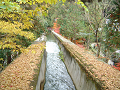 DSCF0192_thumb.png