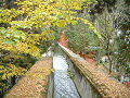 DSCF0193_thumb.png