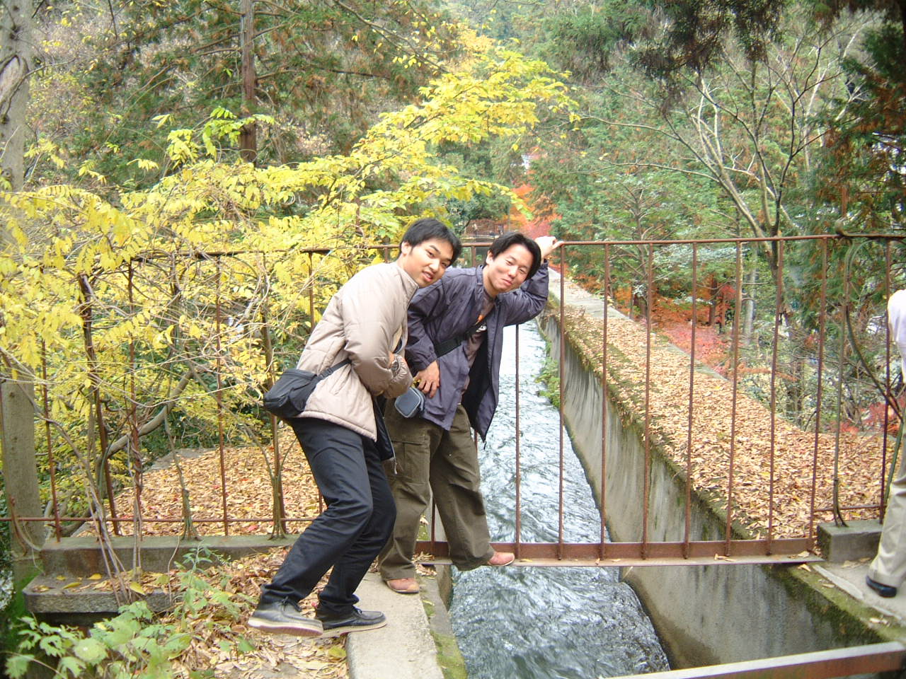 DSCF0194.JPG