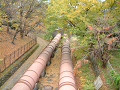 DSCF0197_thumb.png