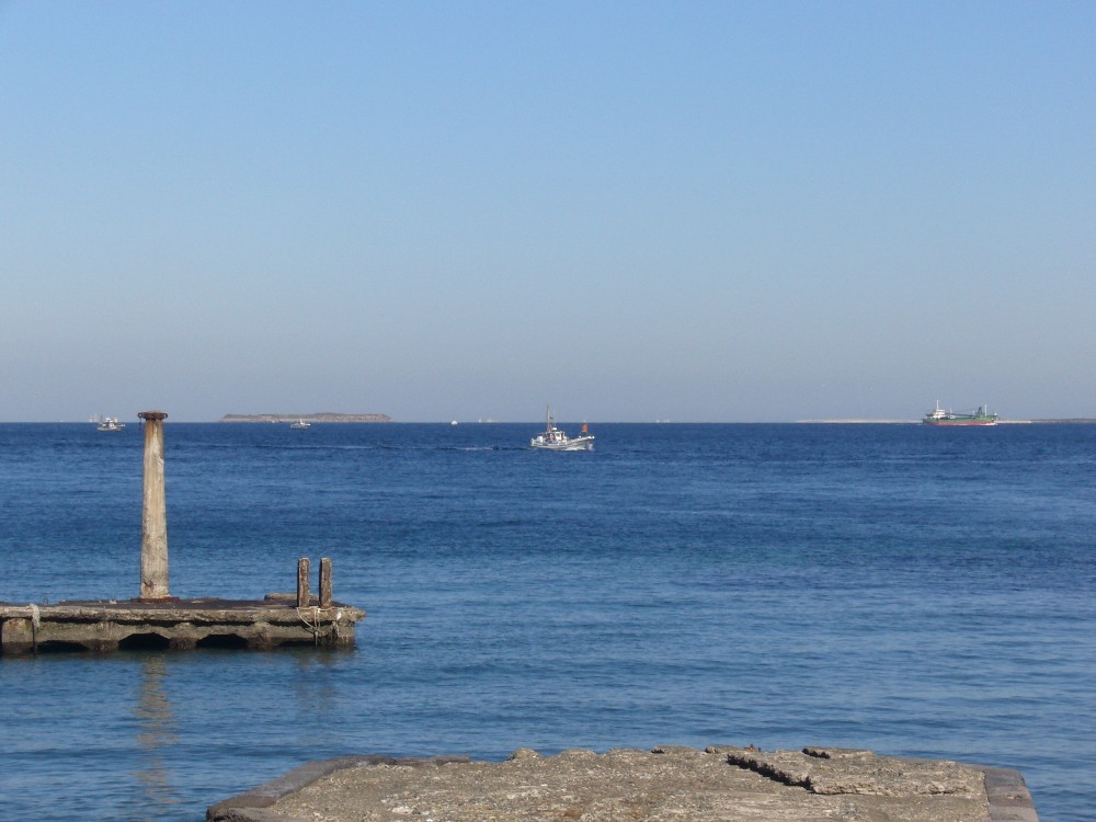P1000582.JPG