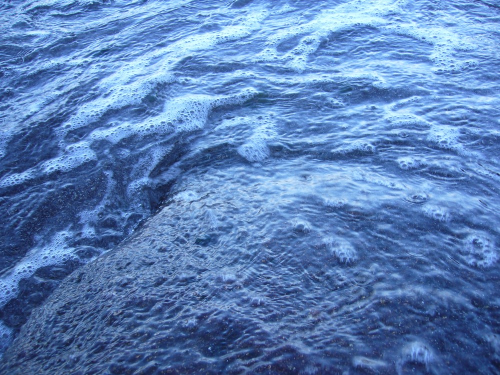 P1000598.JPG