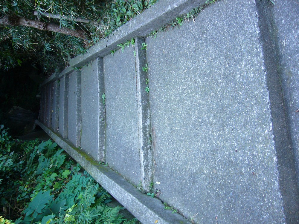 P1000609.JPG
