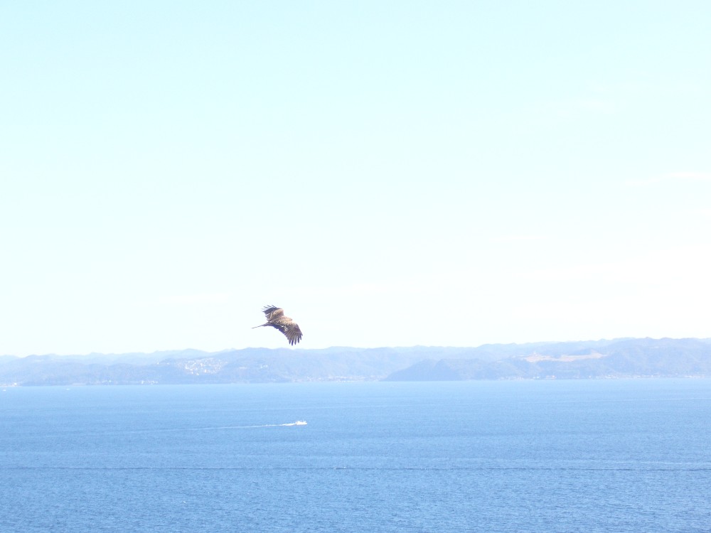 P1000624.JPG