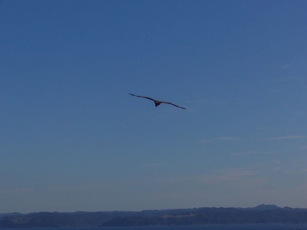 P1000626.JPG