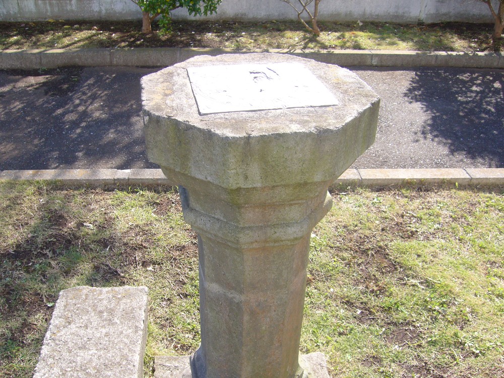 P1000632.JPG