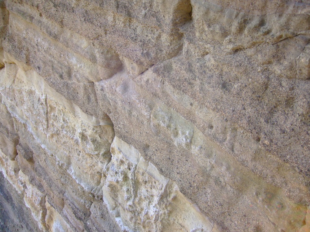 P1000639.JPG