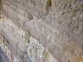 P1000639_thumb.png