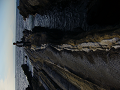 P1000678_thumb.png