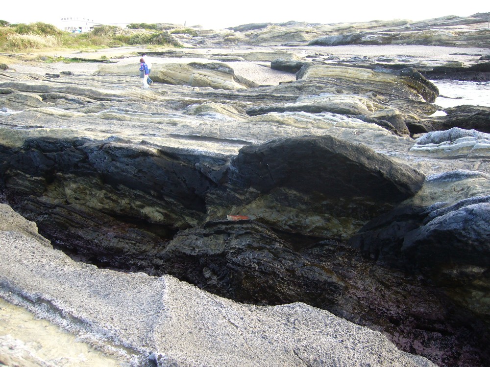 P1000688.JPG