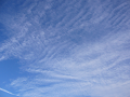 P1000691_thumb.png