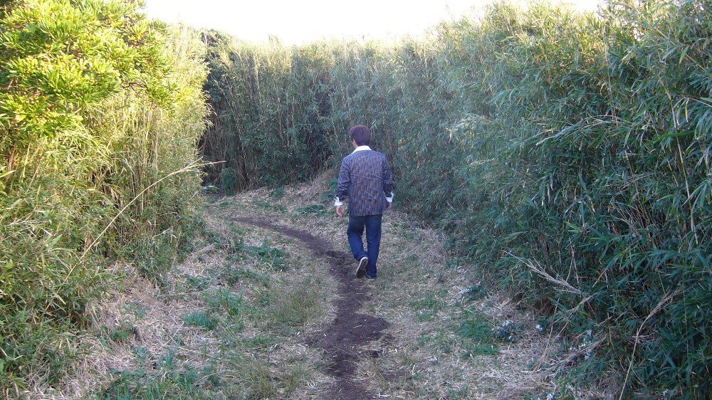 P1000693.JPG
