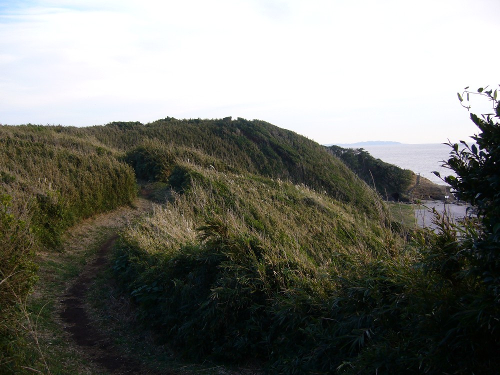 P1000705.JPG