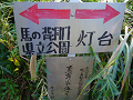 P1000706_thumb.png