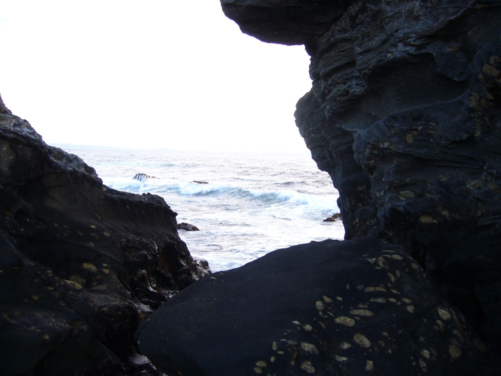 P1000716.JPG