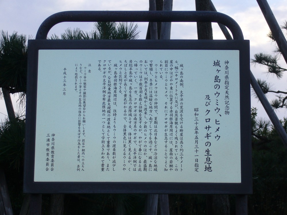 P1000738.JPG