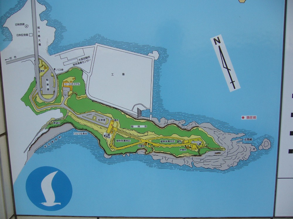 P1000739.JPG