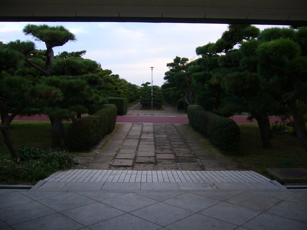 P1000740.JPG