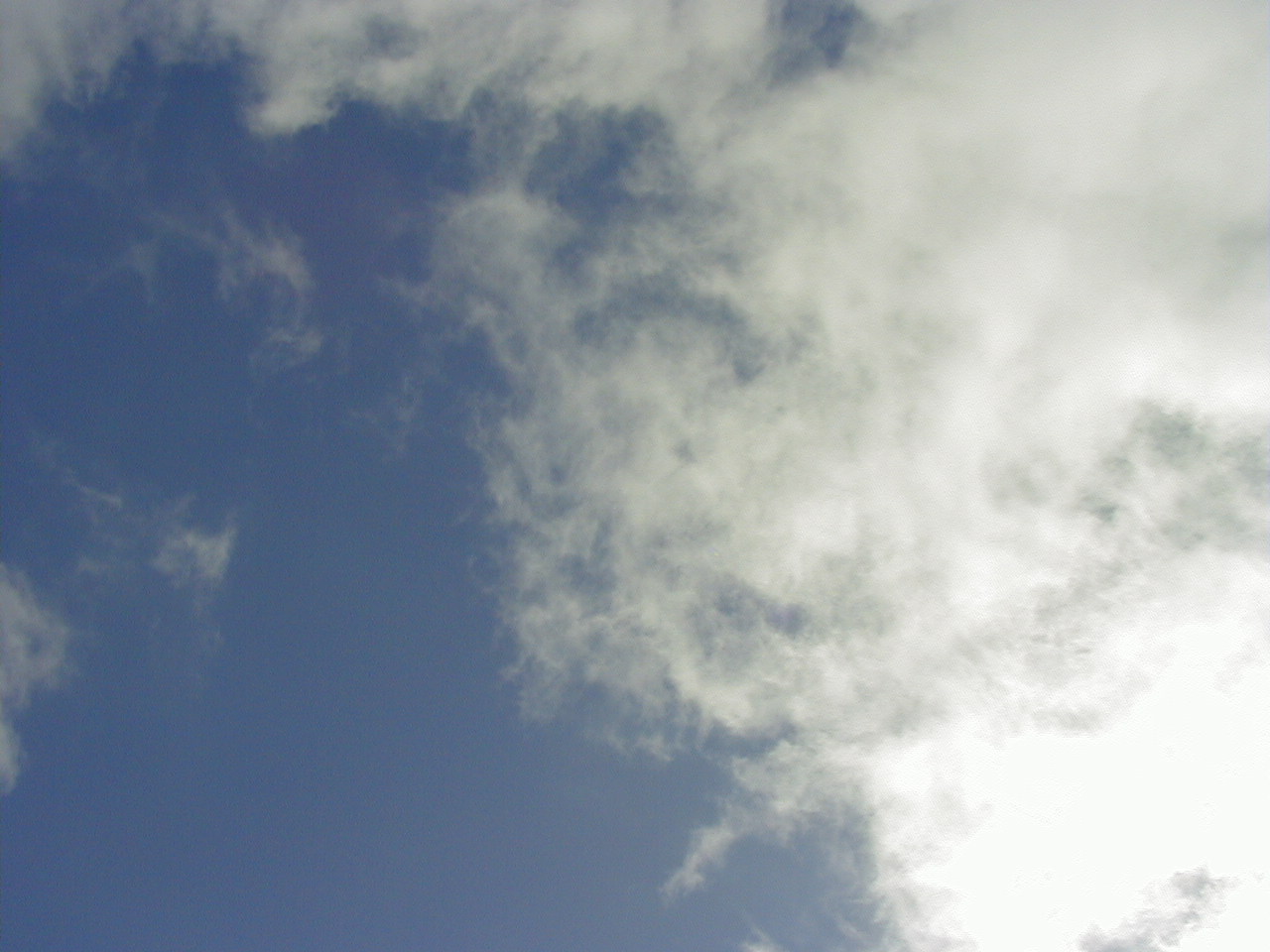 P3030051.JPG