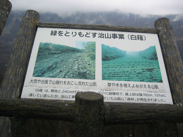 IMG_1005.JPG