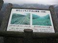 IMG_1005_thumb.png