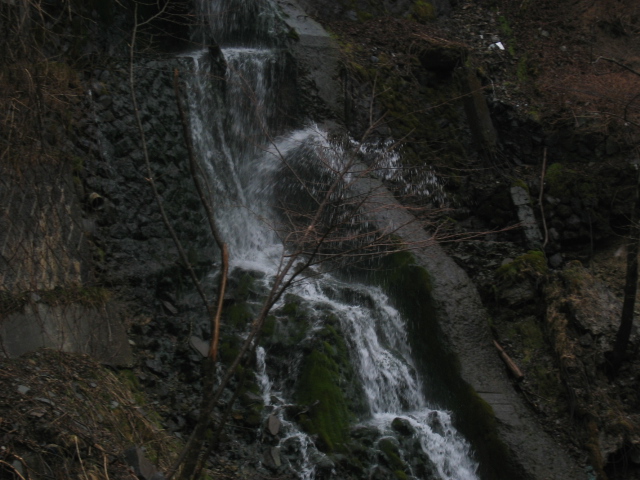 IMG_1026.JPG