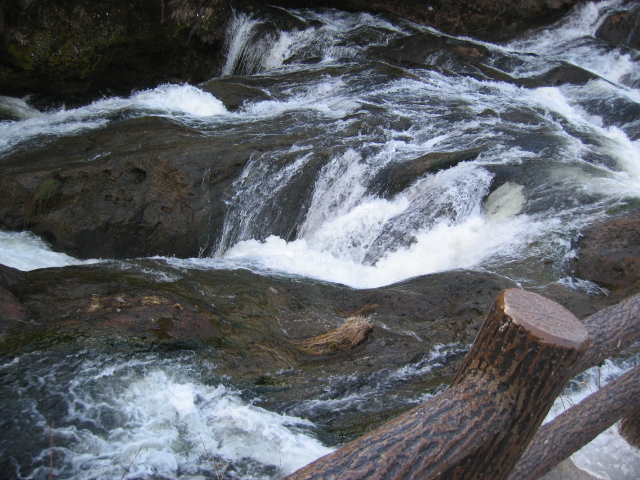 IMG_1152.JPG