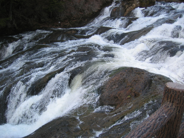 IMG_1155.JPG