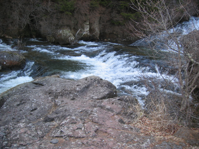 IMG_1159.JPG
