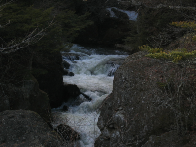 IMG_1166.JPG