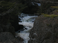 IMG_1166_thumb.png