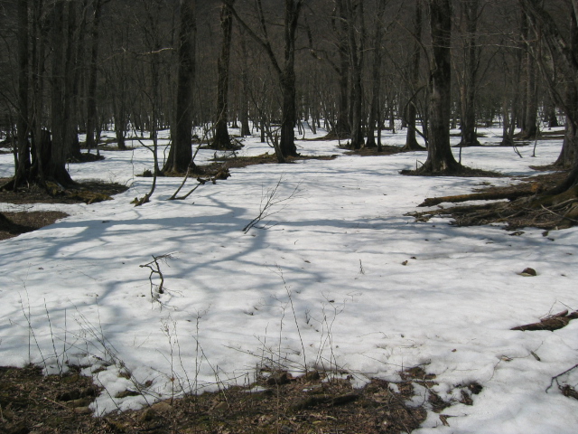 IMG_1260.JPG