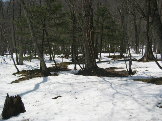 IMG_1262.JPG
