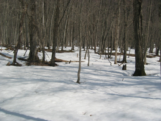 IMG_1265.JPG